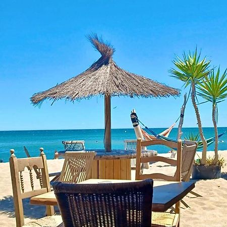 T3 Grande Terrasse Bord De Mer Ле-Баркарес Екстер'єр фото